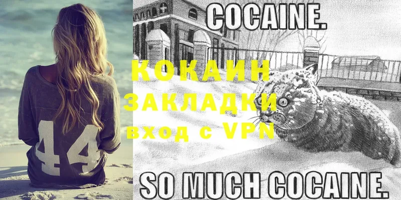 Cocaine FishScale  гидра рабочий сайт  Заозёрный 